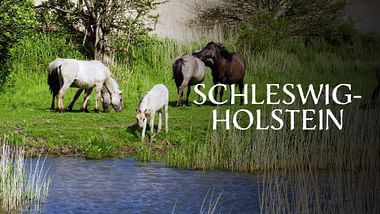 Schleswig-Holstein.