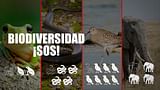 Biodiversidad: SOS animales