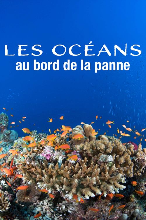 Les océans au bord de la panne ?.