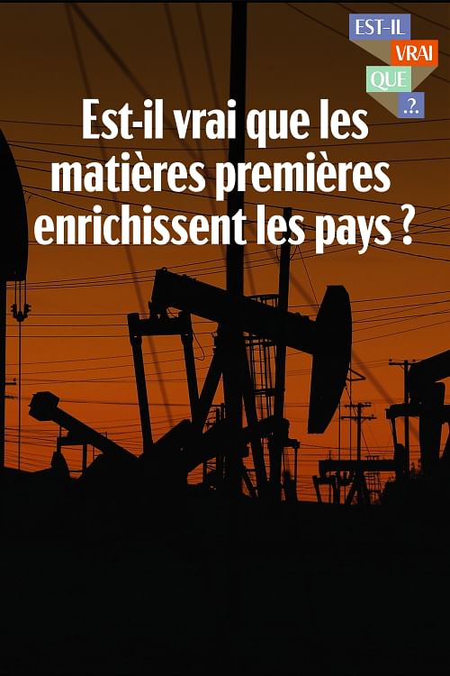 Est-il vrai que les matières premières enrichissent les pays ?.