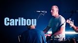Caribou