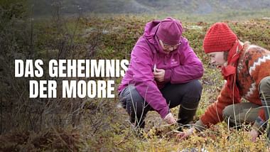 Das Geheimnis der Moore.