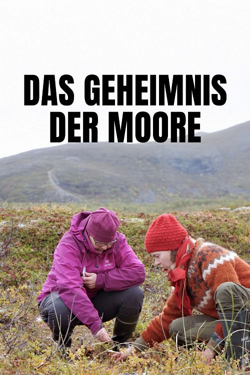 Das Geheimnis der Moore.