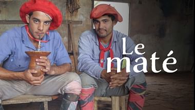 Le maté, l'élixir des Argentins