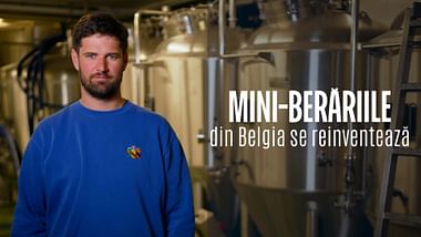 Microberării belgiene: pasiunea pentru provocare.