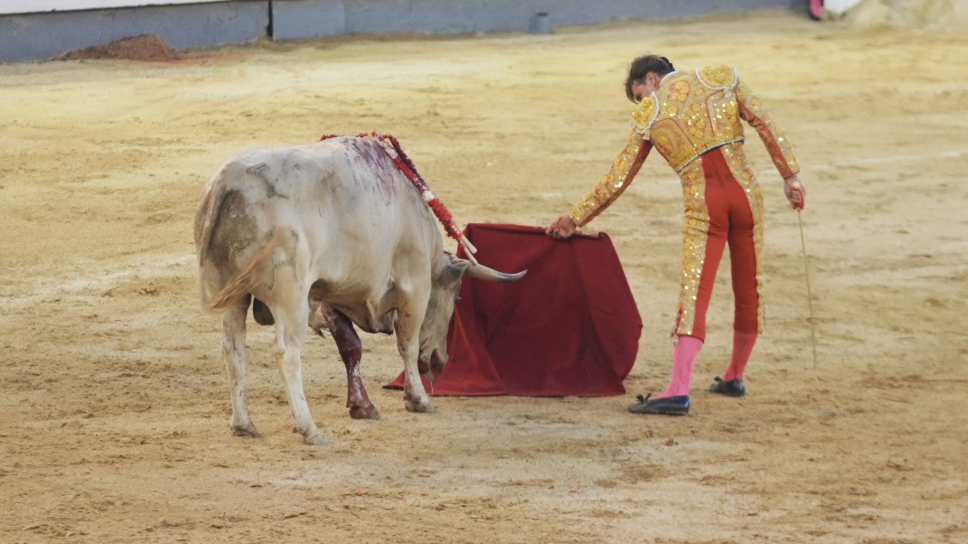 Spanier wenden sich gegen den Stierkampf