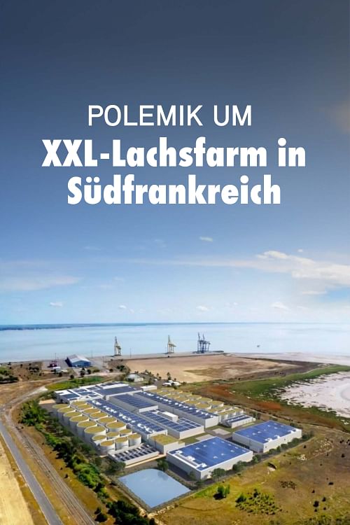 Polemik um XXL-Lachsfarm in Südfrankreich.