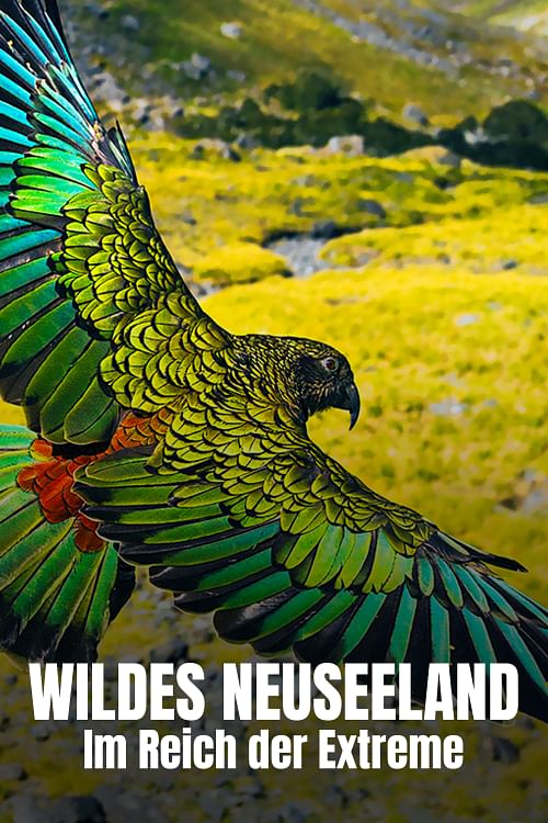 Wildes Neuseeland.