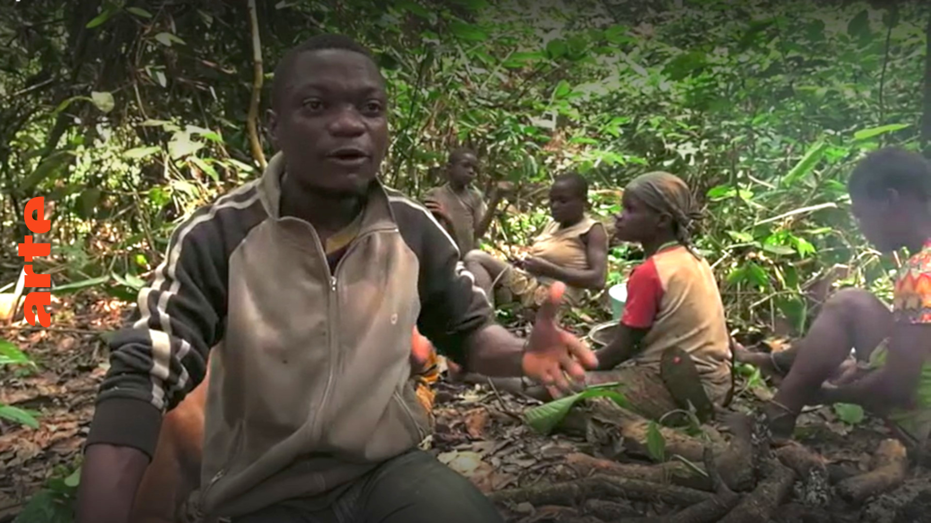 Japanese Rapped In The Jungle - ARTE Reportage - Cameroon: The Green Terror - Watch the full documentary |  ARTE in English