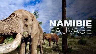 Namibie sauvage.