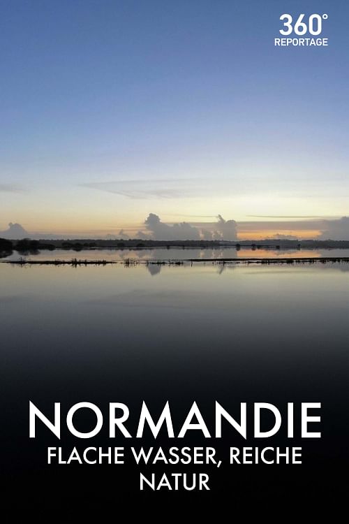 360° Reportage.