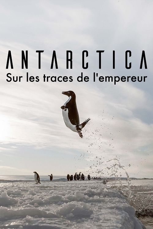 Antarctica, sur les traces de l'empereur.