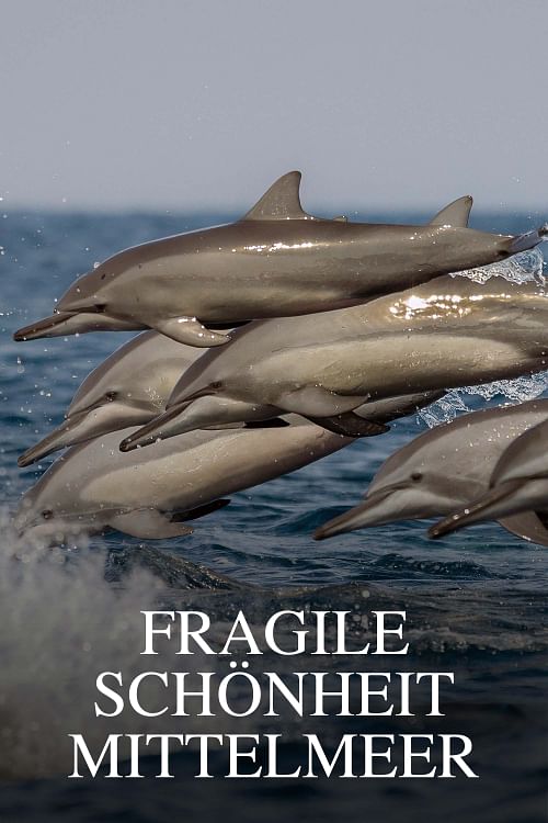 Fragile Schönheit Mittelmeer.