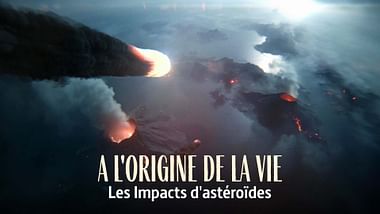 À l'origine de la vie : les impacts d'astéroïdes.