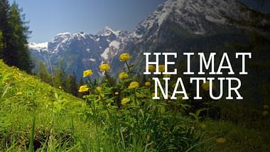Heimat Natur.