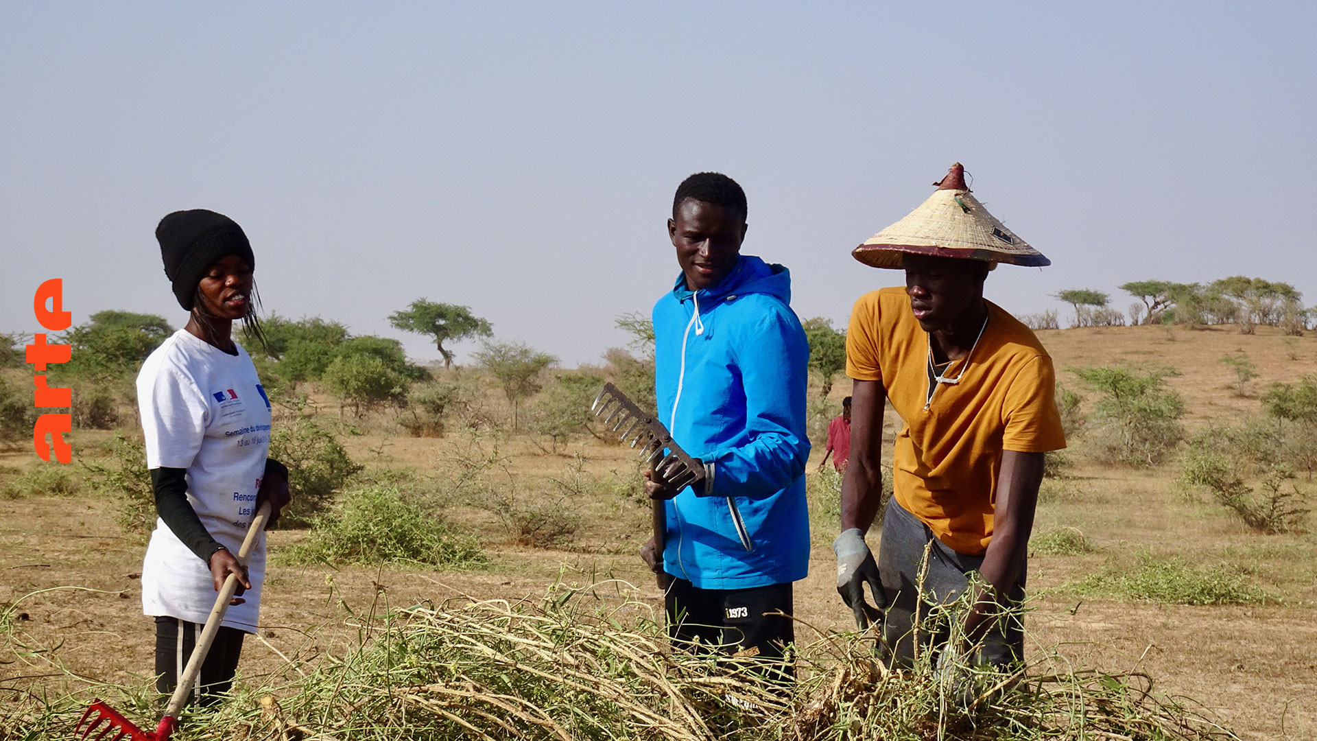 Senegal: Vom Fernsehen auf den Bauernhof (2020)