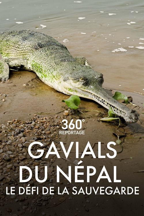 360° Reportage.