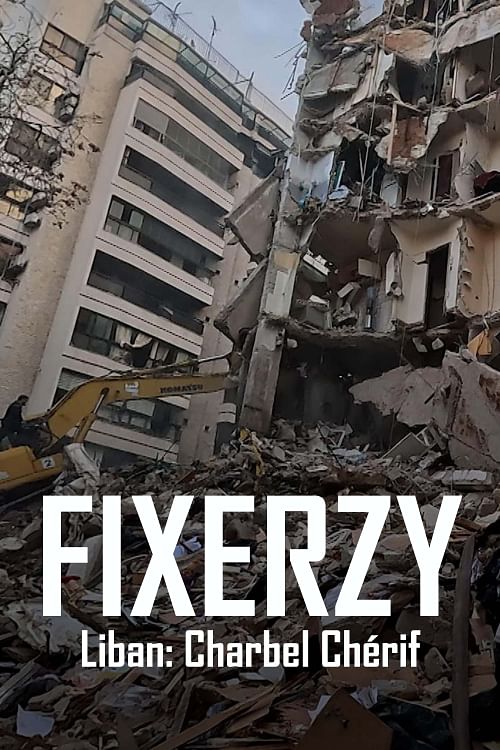 Fixerzy.