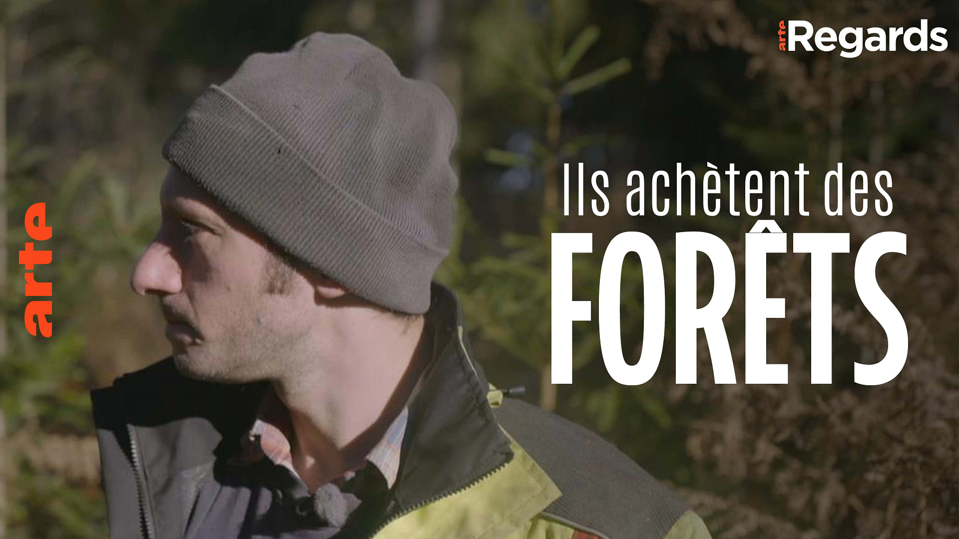 ARTE Regards - Ils achètent des forêts - Regarder le documentaire complet