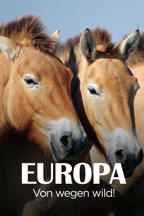 Europa, von wegen wild!.