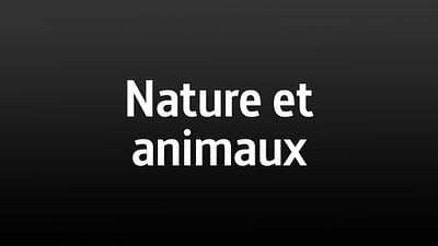 Nature et animaux