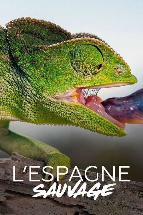 L’Espagne sauvage.