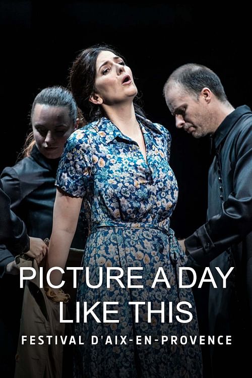 Picture a Day Like This.