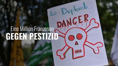 Eine Million Franzosen gegen Insektizid