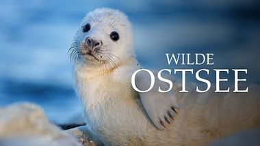 Wilde Ostsee.