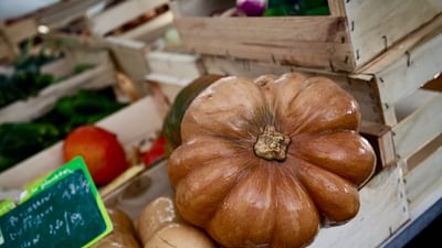 Cuisines des terroirs