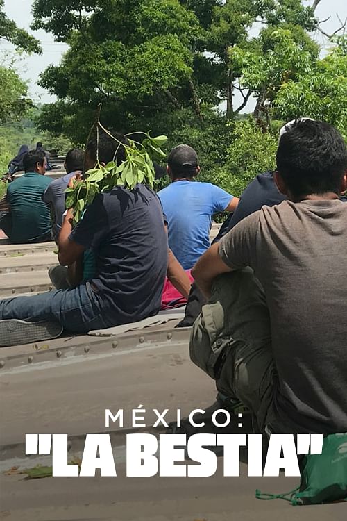 México: "La bestia".