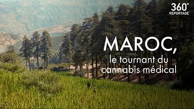 Maroc, le tournant du cannabis médical.