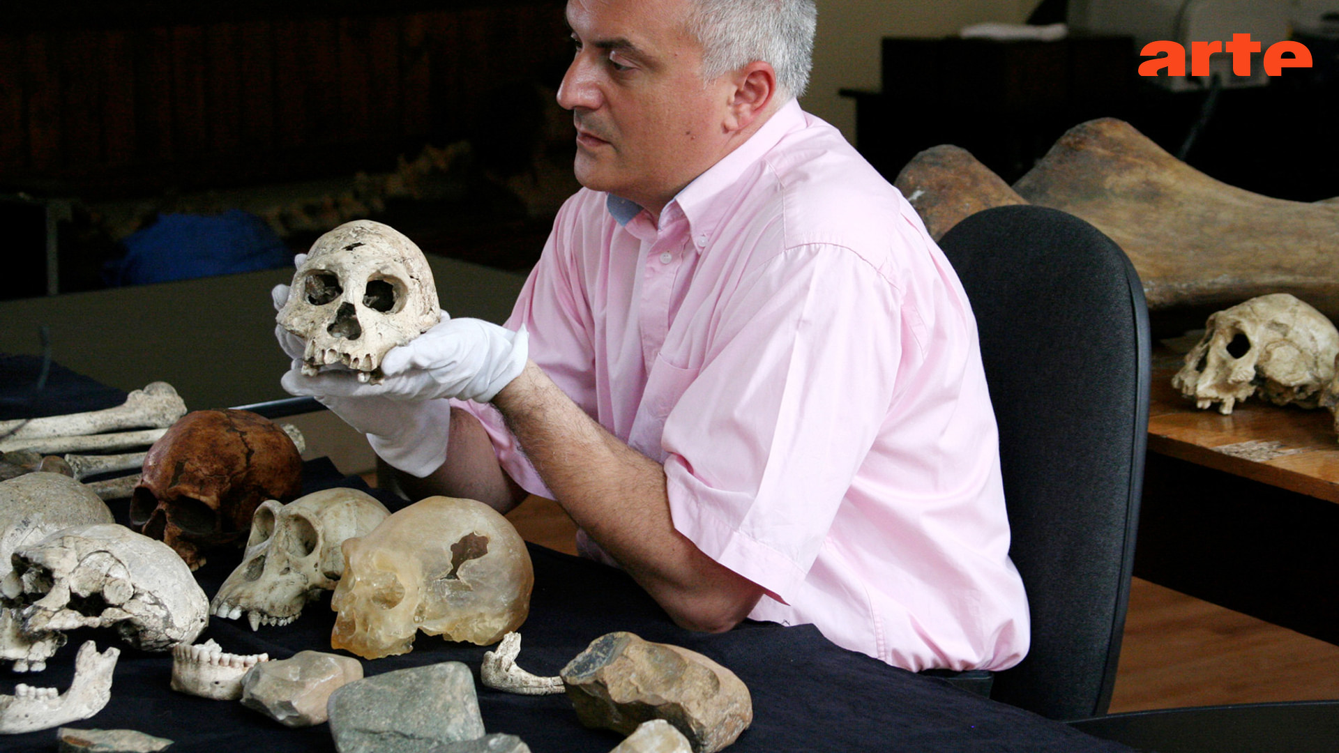 Aux origines de l'humanit&eacute; - La naissance de l'homme