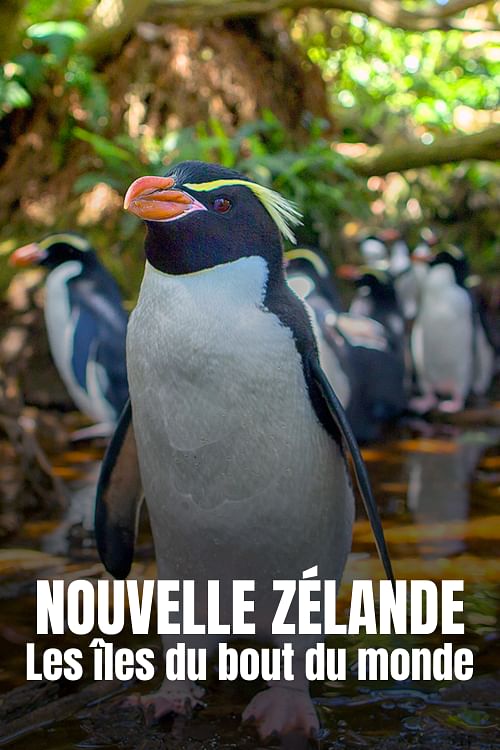 Nouvelle-Zélande.
