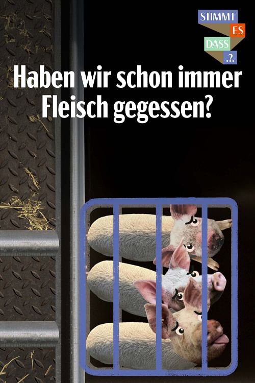 Haben wir schon immer Fleisch gegessen?.