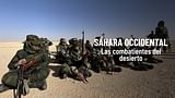 Las combatientes del desierto
