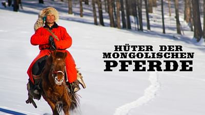 Hüter der mongolischen Pferde