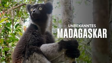 Unbekanntes Madagaskar.