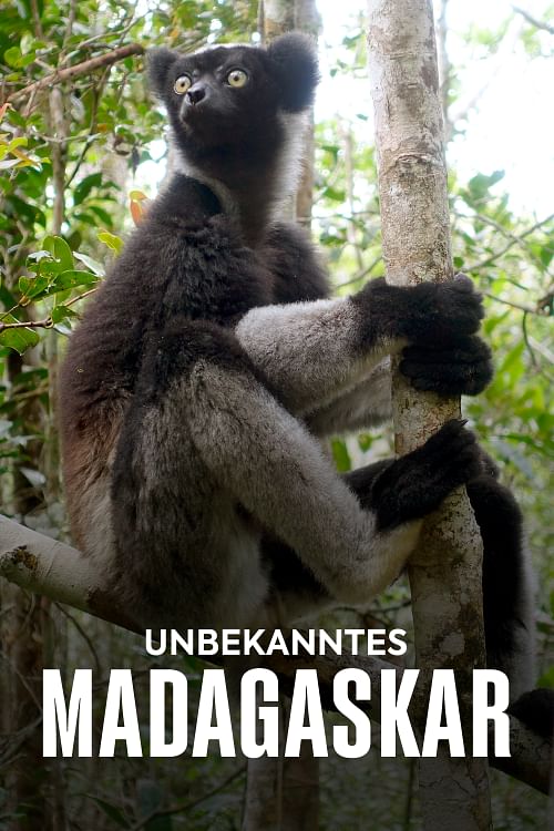 Unbekanntes Madagaskar.