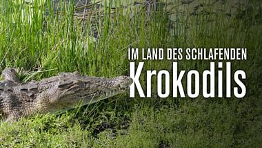 Im Land des schlafenden Krokodils