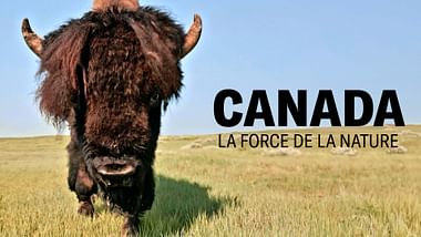 Canada, la force de la nature