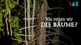 Wie retten wir die Bäume?
