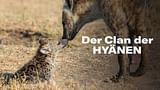 Der Clan der Hyänen