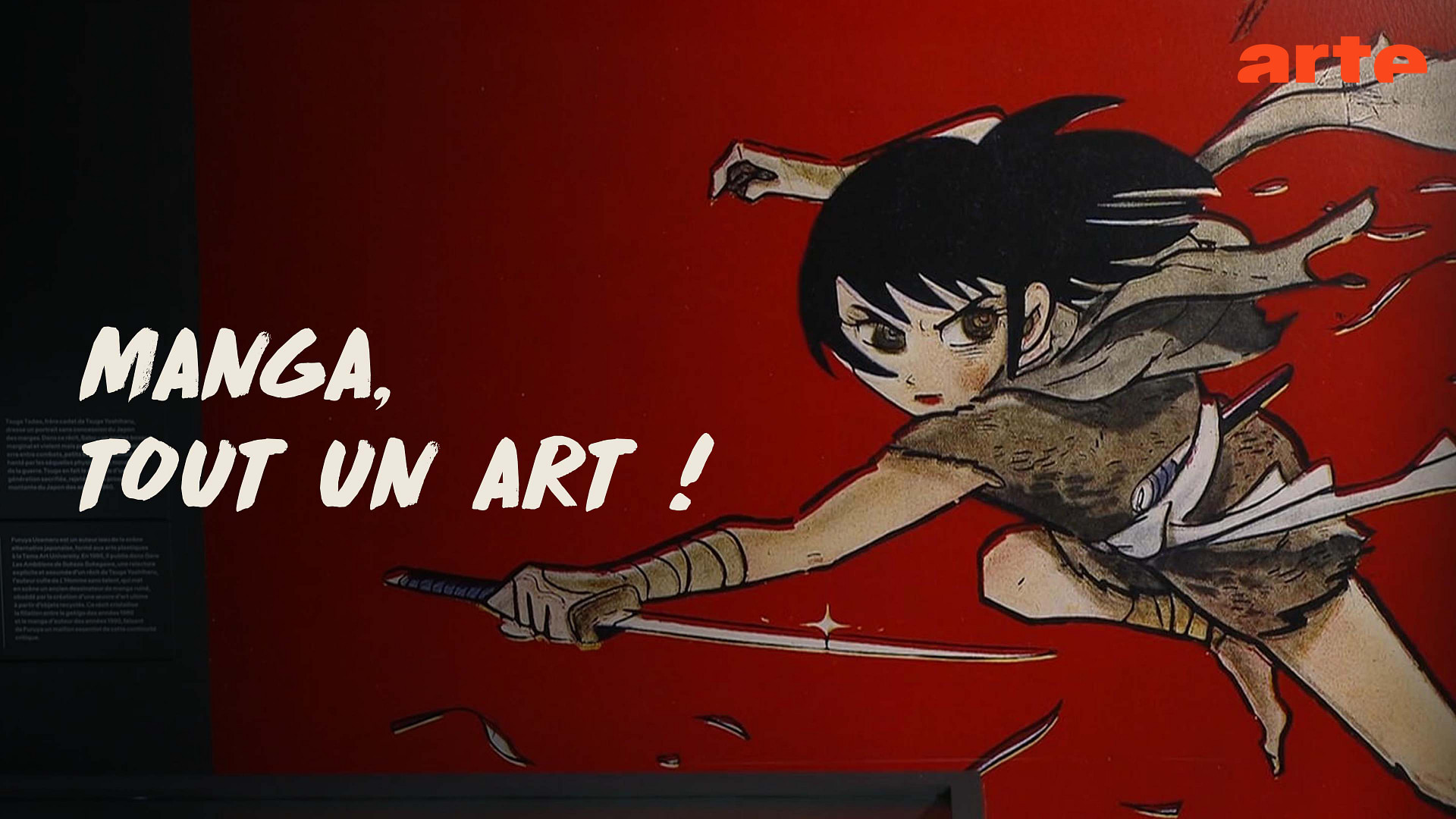 exposition-manga-tout-un-art-regarder-le-documentaire-complet-arte