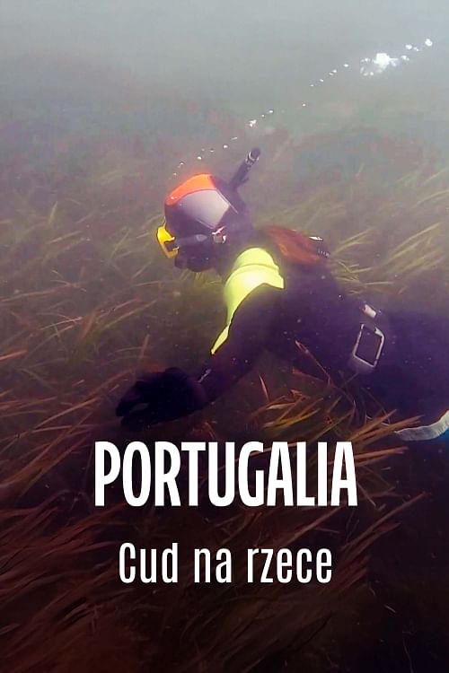 Portugalia: cud na Sado.