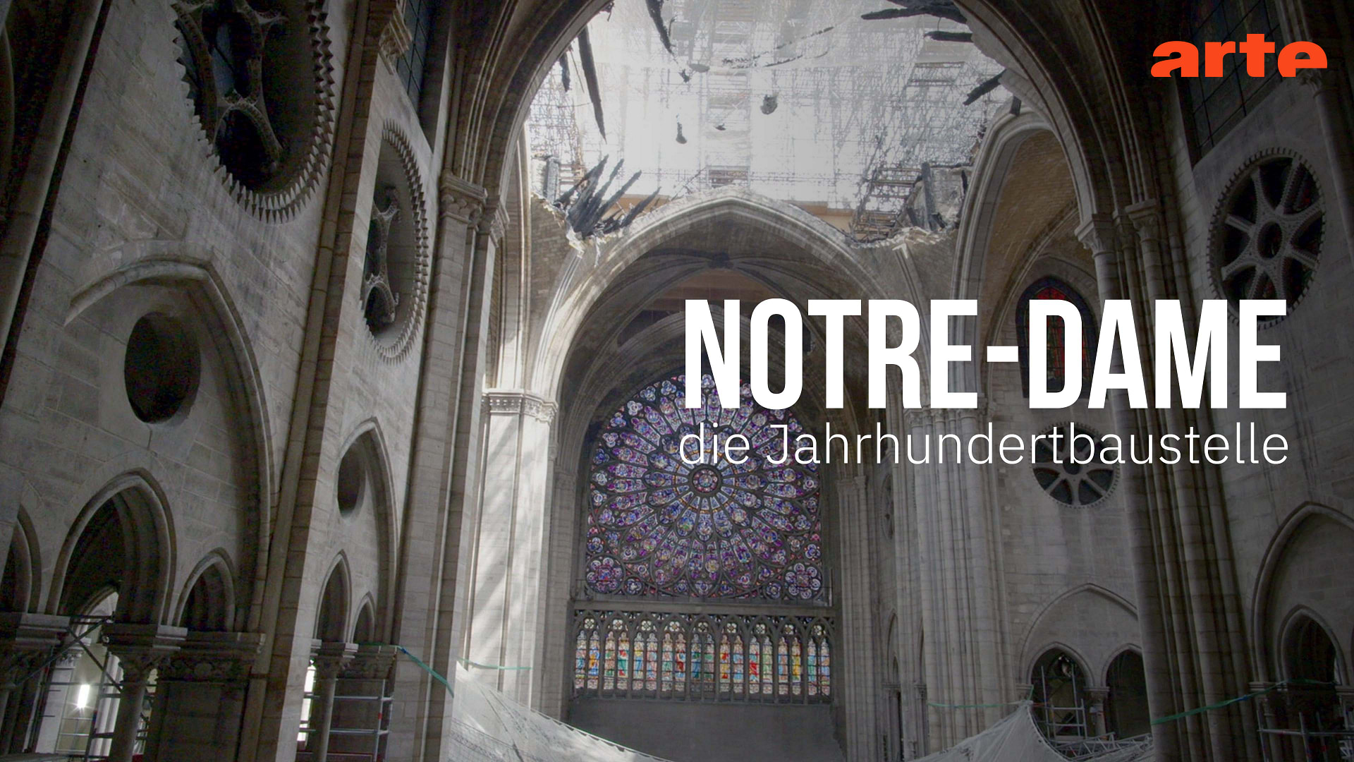www.arte.tv