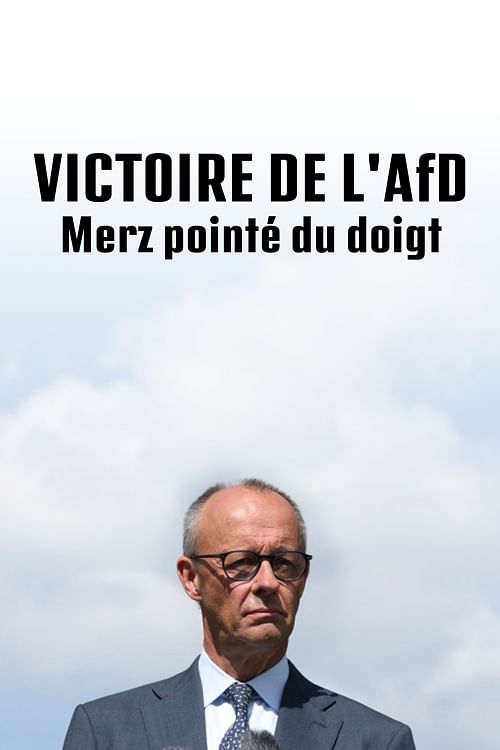 Après la victoire de l'AfD, Merz pointé du doigt.