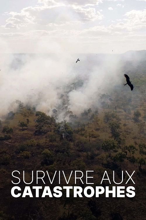 Survivre aux catastrophes : les stratégies de la nature.