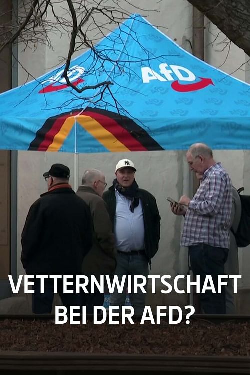 Vetternwirtschaft bei der AfD?.
