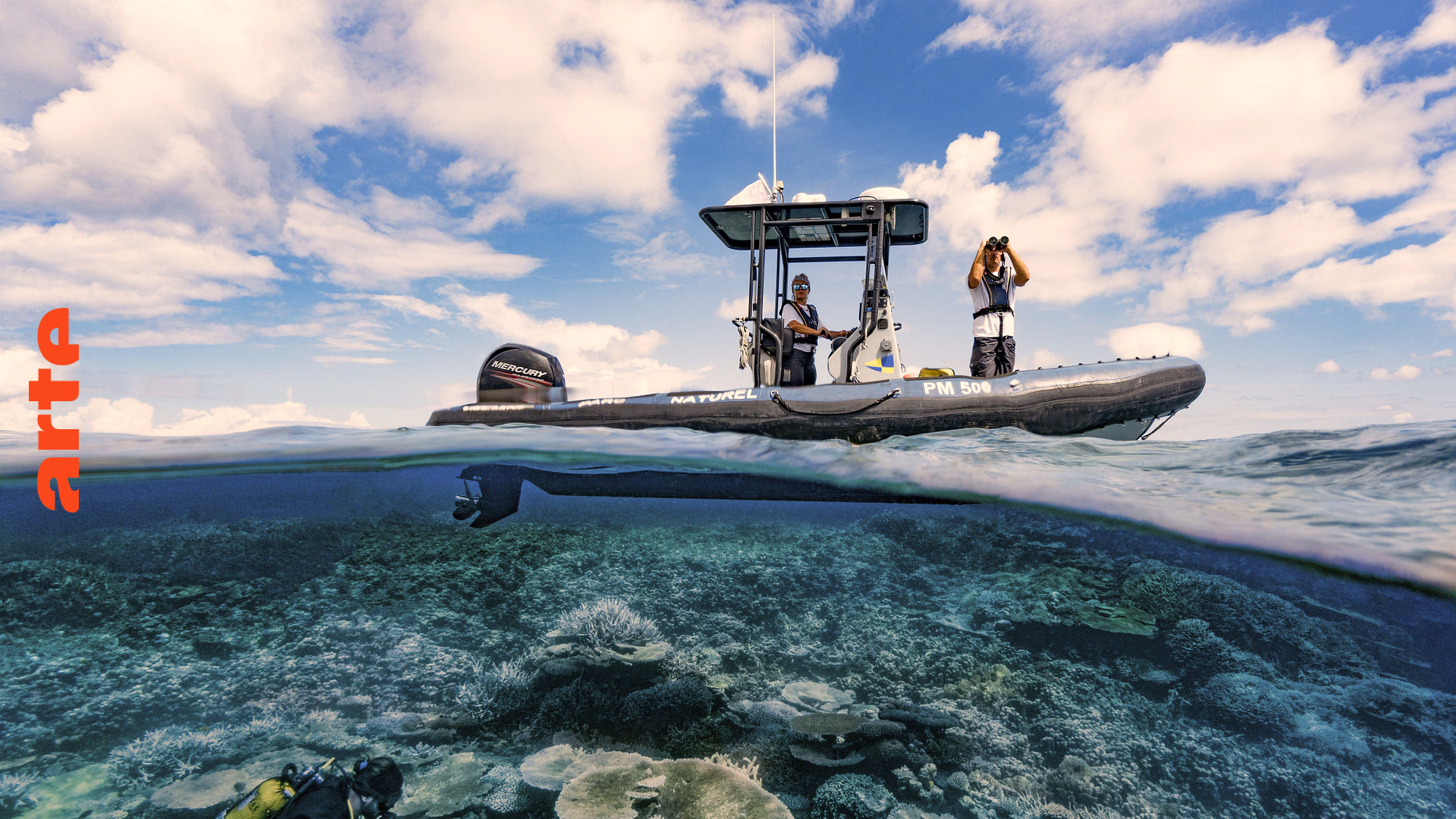 Die Wächter des Great Barrier Reef Die Schildkröten von Raine Island